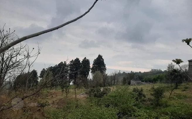 Land Plot with Sea View in Kvariati, Batumi, photo 3