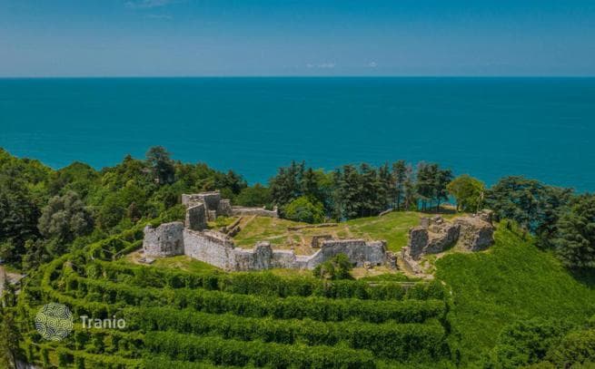 Land Plot with Sea and Mountain Views in Tsikhisdziri, Batumi, photo 5
