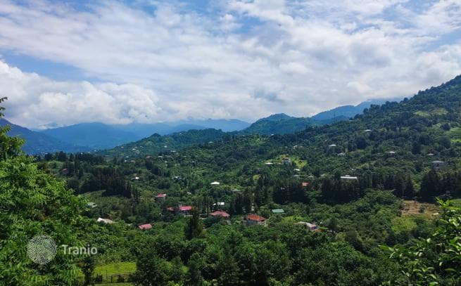 Affordable Land Plot with Mountain Views in Sahkalvasho, Batumi, photo 3