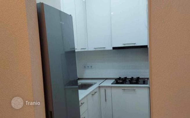 1-Bedroom Apartment in Tbilisi, photo 4