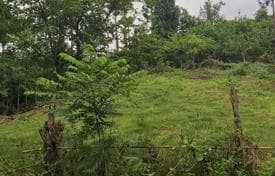Land Plot 300 m from the Sea in Chakvi, Adjara, photo 5
