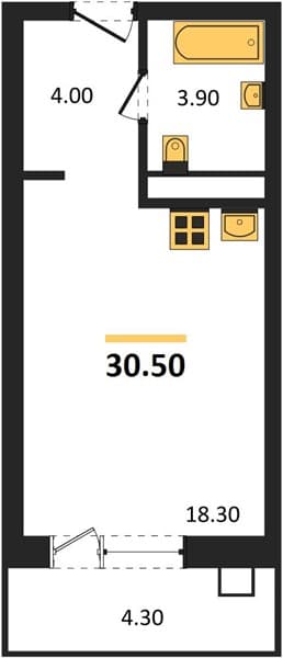 Studio Apartment in Golubitskaya