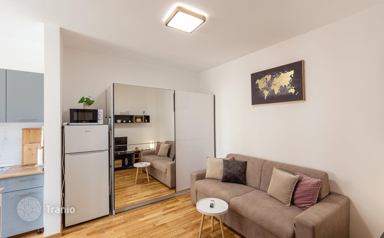 1-Bedroom Apartment with Terrace in Becici, Budva, photo 5