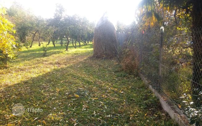 Beachfront Land Plot near Batumi Botanical Garden, Batumi, photo 2