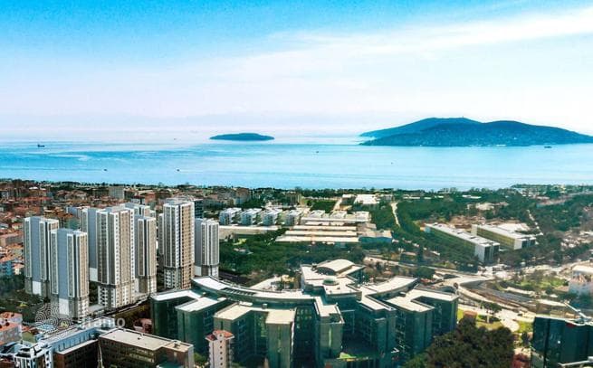 1-Bedroom Apartment in Kartal, Istanbul, photo 4