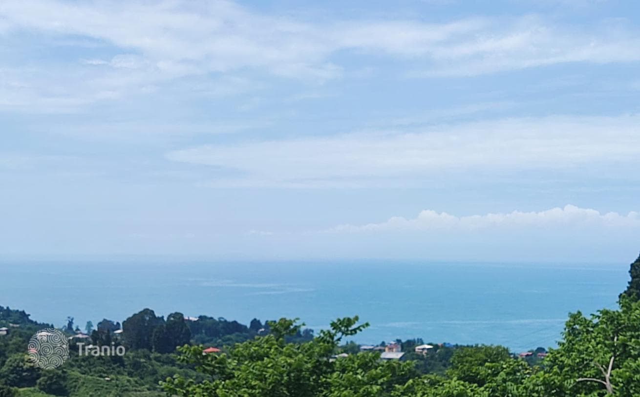 Land Plot for Villa and Townhouse Development in Makhinjauri, Batumi, photo 5