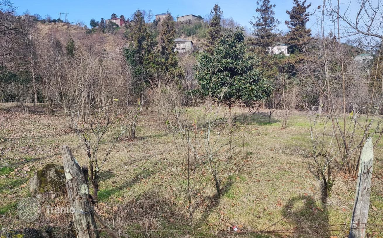 Land Plot near River in Chakvi, Batumi, photo 3