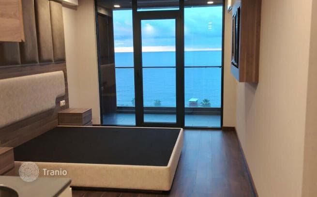 1-Bedroom Apartment Near the Sea in Batumi