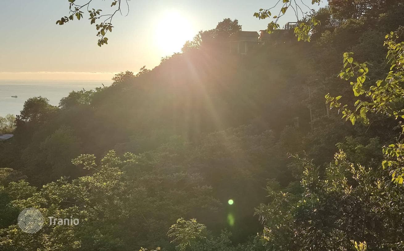 Land Plot with Sea and City Views in Adjara, Batumi, photo 4