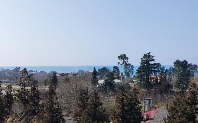 Land Plot 500 m from the Sea in Chakvi, Batumi, photo 4