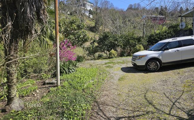 House with Large Land Plot in Makhinjauri, Batumi, photo 5