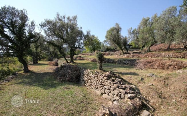 Land Plot in Herceg Novi, Montenegro, photo 4