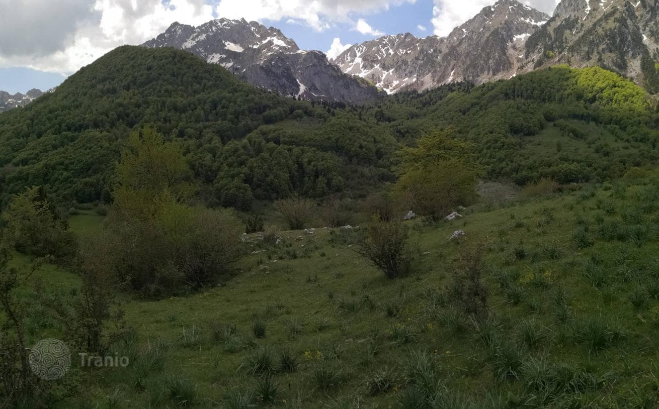 32,013 m² Land Plot for Development in Lipovo, Kolasin, photo 5