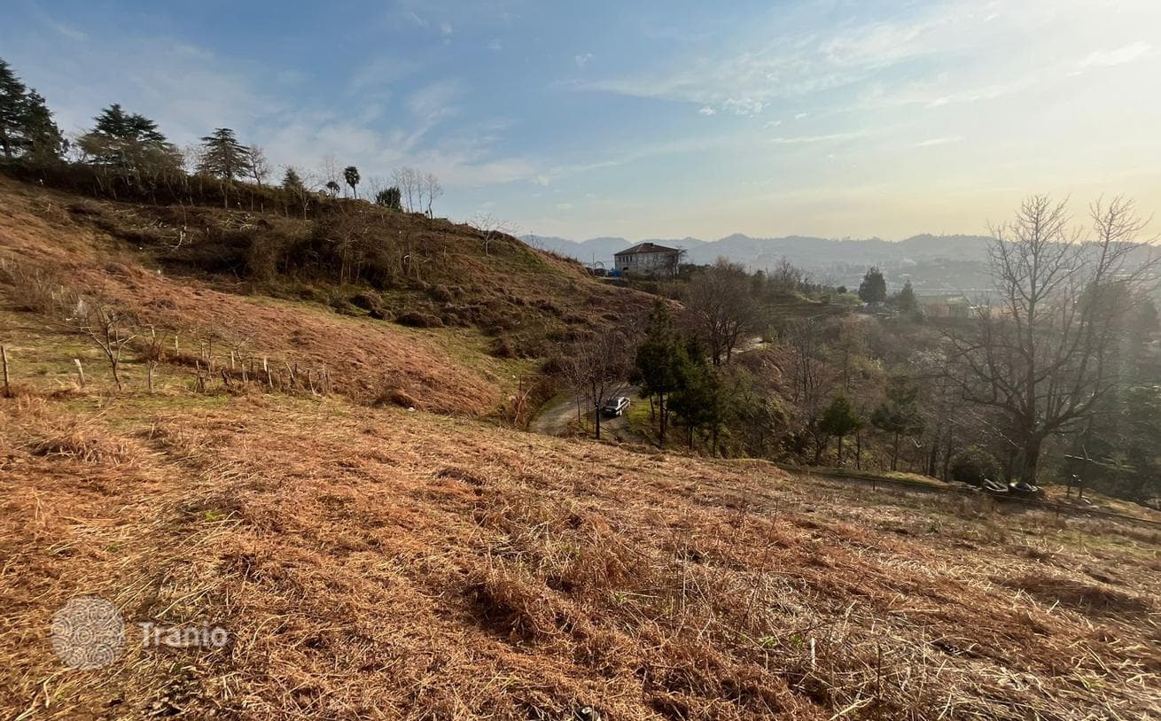 Non-Agricultural Land Plot with Sea and Mountain Views in Chakvi, Batumi, photo 4