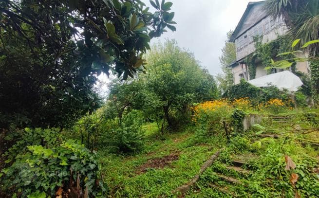 Non-Agricultural Land Plot Near the Sea in Chakvi, photo 4
