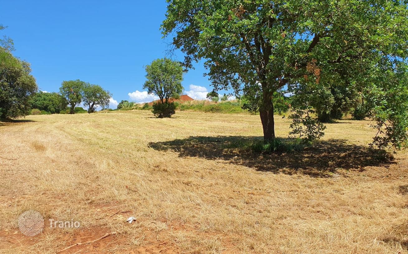 Farm in Pula, Croatia, photo 4