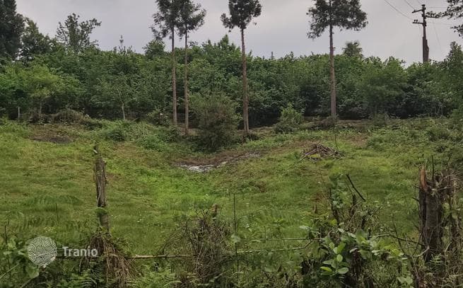 Land Plot 300 m from the Sea in Chakvi, Adjara, photo 3