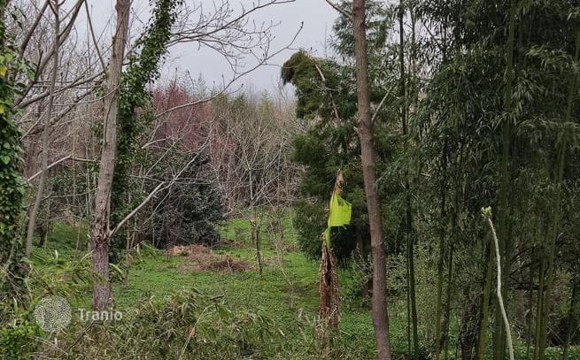 Land Plot for Cottage Development Near Batumi