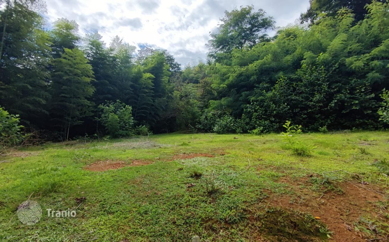 Non-Agricultural Land Plot with Sea View in Tsikisdziri, Batumi, photo 5