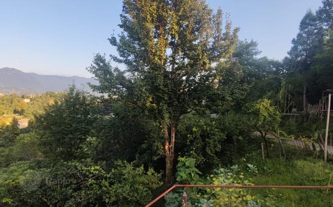 Non-Agricultural Land Plot with Sea View in Tsikhistdziri, Batumi, photo 5