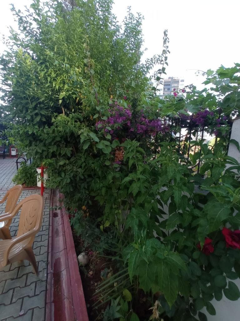 Квартира в Мерсине, Турция, 65 м², фото 3