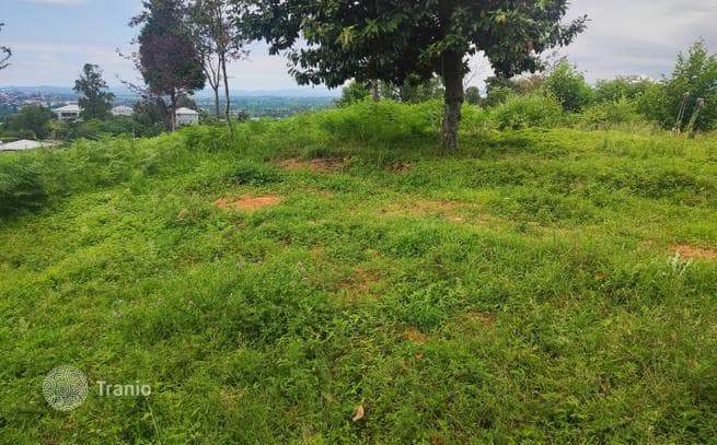 Land Plot with Sea and Mountain Views in Tsikhisdziri, Batumi, photo 4