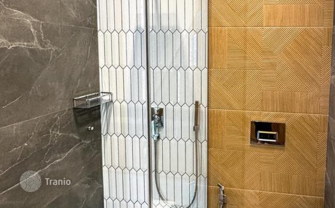 1-Bedroom Apartment on Krtsanisi Street, Tbilisi, photo 5