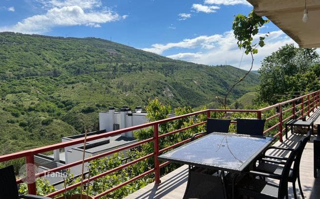 9-Room House in Saburtalo, Tbilisi, photo 5