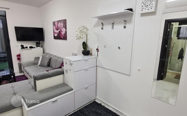 1-Bedroom Apartment with Parking 250 m from the Sea in Djenovici, Budva, photo 2