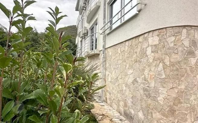 Studio Apartment in Tivat, photo 5