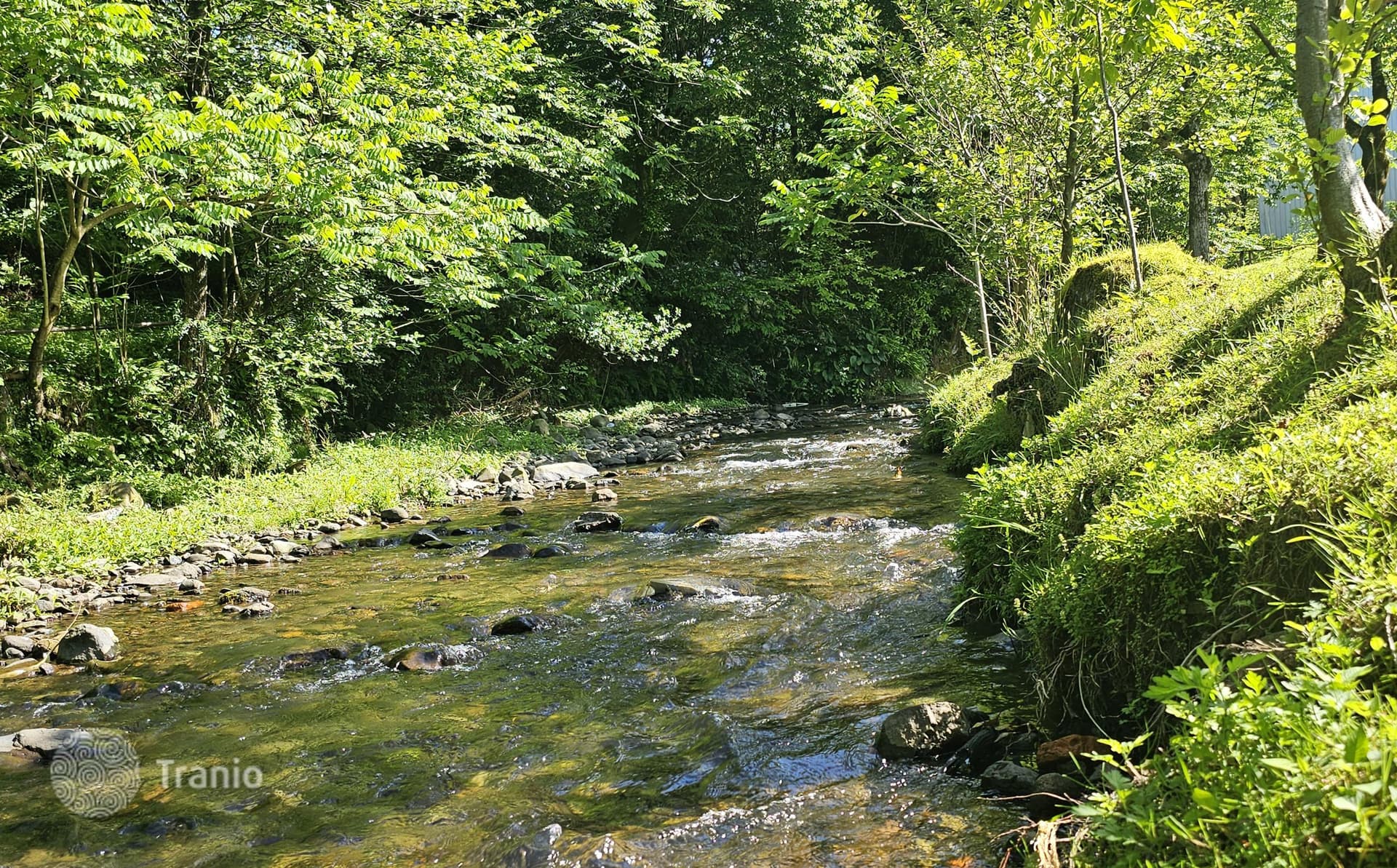 Non-Agricultural Land Plot on River with Mountain Views in Chakvi, Batumi, photo 3