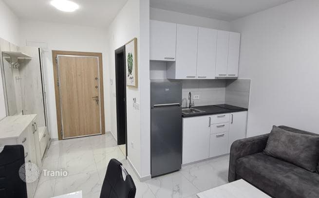 Studio with Terrace 250 m from the Sea in Djenovic, Herceg Novi, photo 2