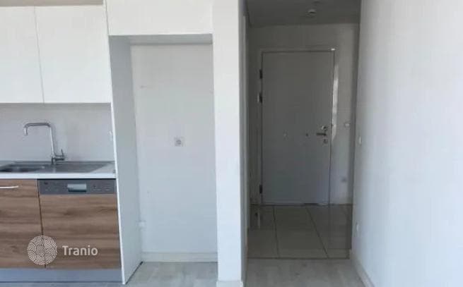 1-Bedroom Apartment in Kartal, Istanbul, photo 5