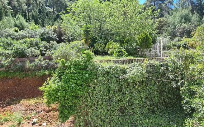1-Bedroom Apartment in Fethiye