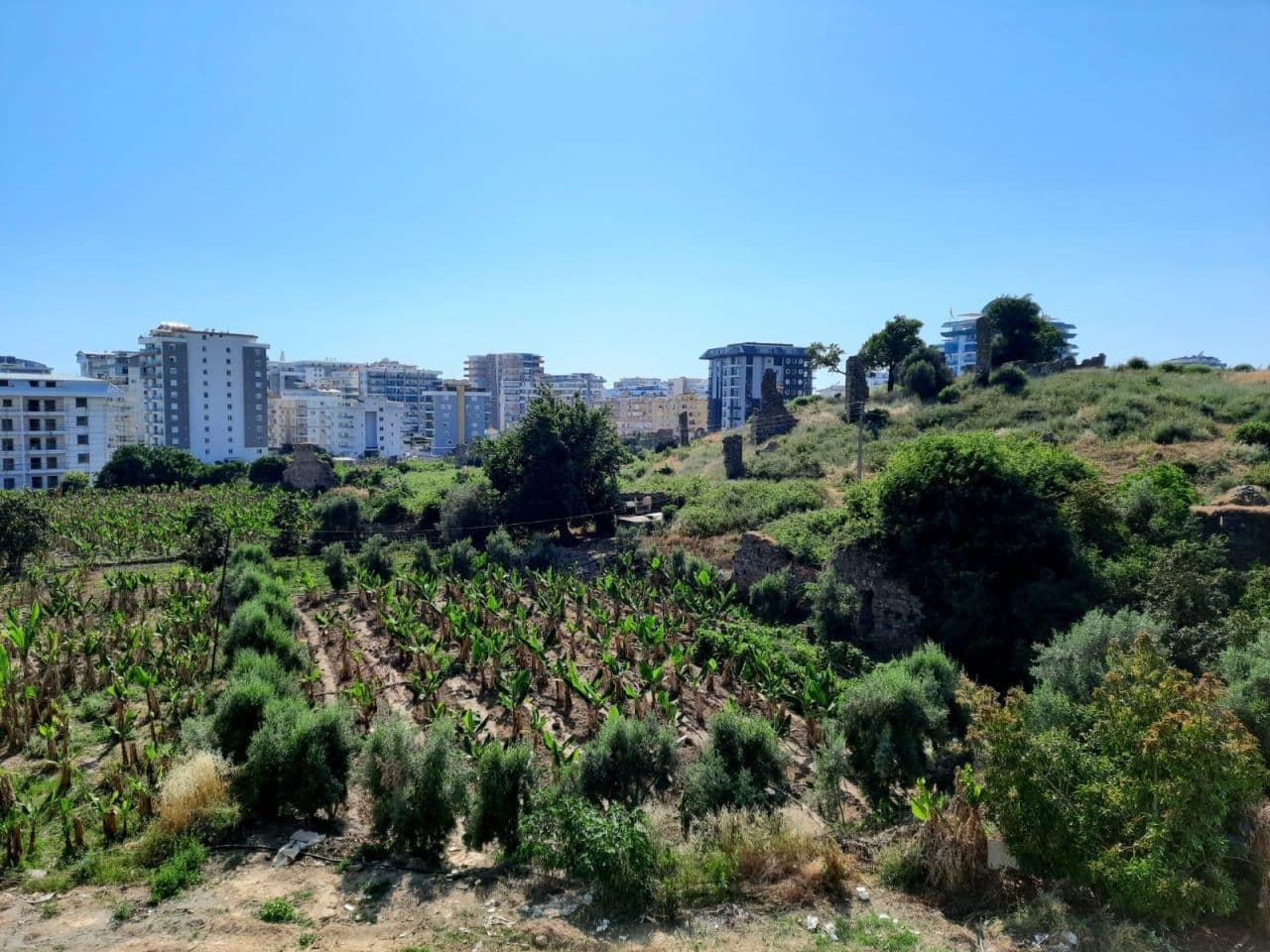 Квартира в Алании, Турция, 55 м², фото 2