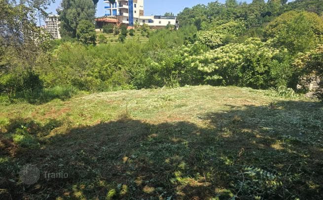 Non-Agricultural Land Plot Near the Sea in Makhinjauri, Batumi, photo 3