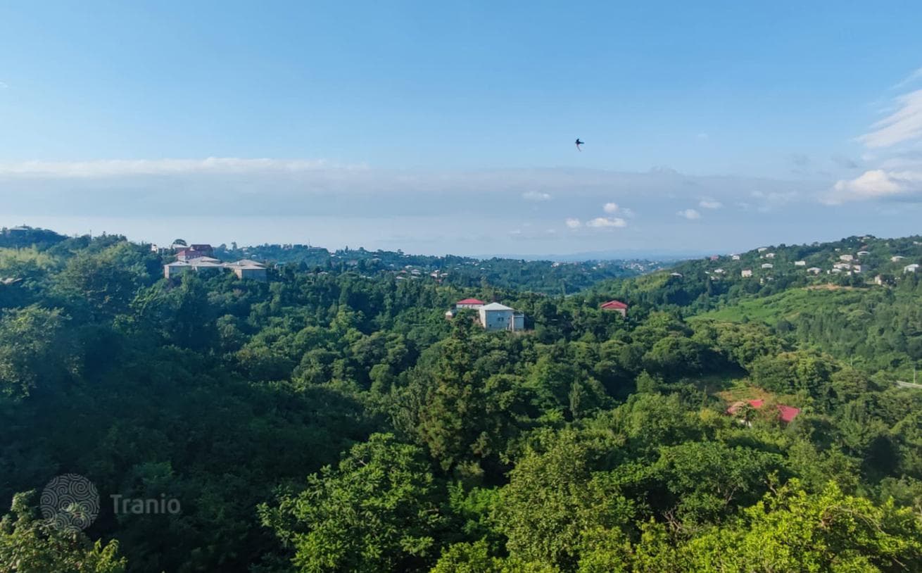 House with Fruit Garden 16 km from Batumi City Center, photo 3