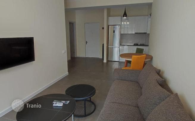 1-Bedroom Apartment in Saburtalo, Tbilisi, photo 3