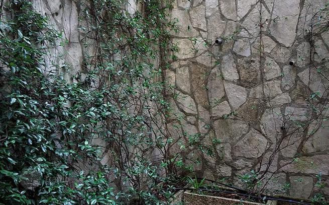 2-Bedroom Apartment in Kotor, Montenegro, photo 5