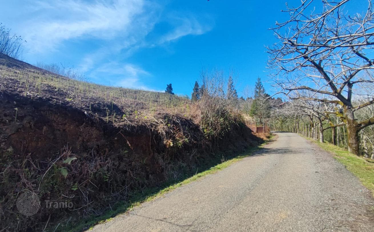 Large Land Plot with Mountain Views in Chakvi, Batumi, photo 2