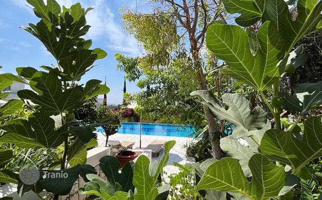 1-Bedroom Townhouse with Garden in Geroskipou, Paphos, photo 4