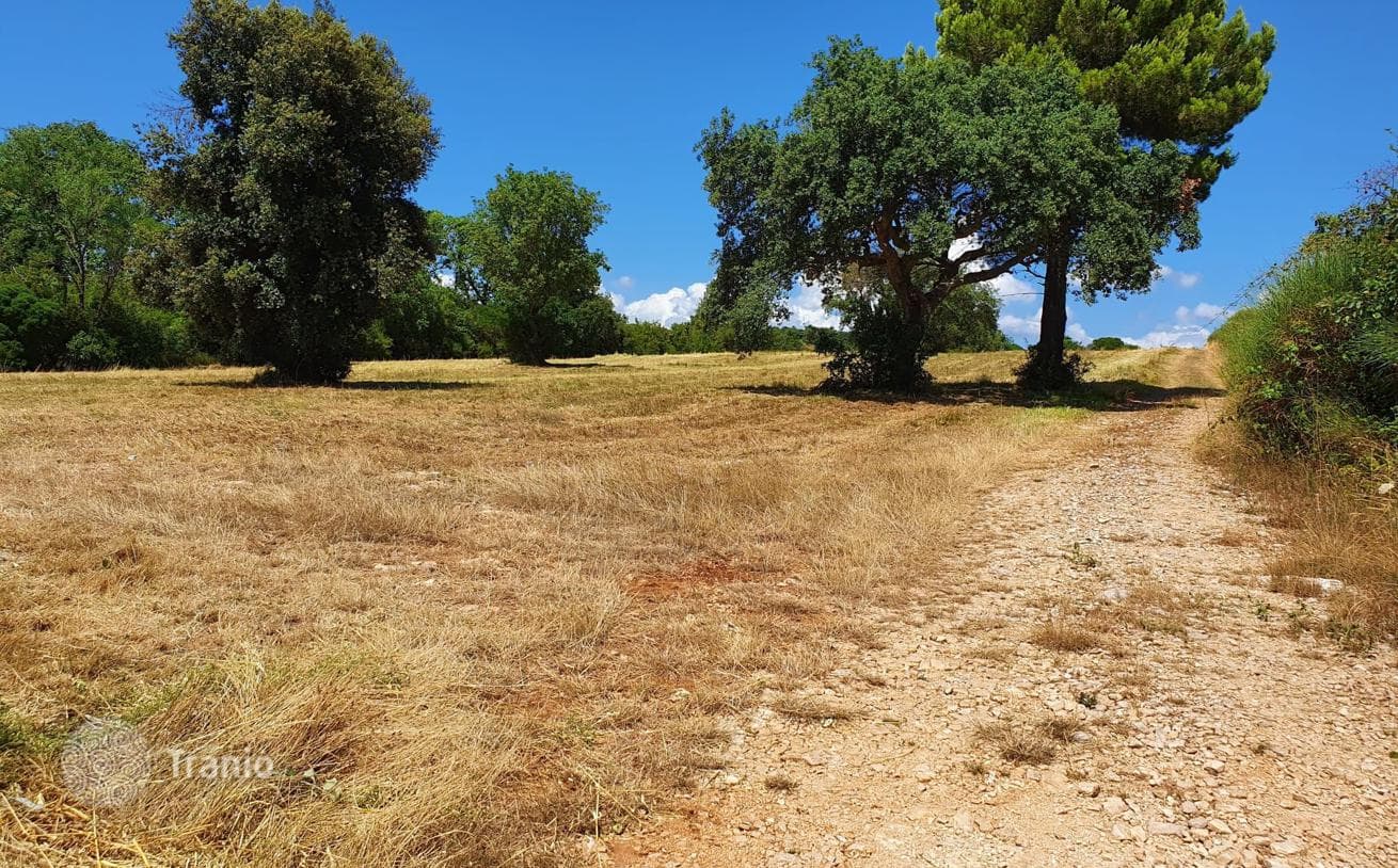 Farm in Pula, Croatia