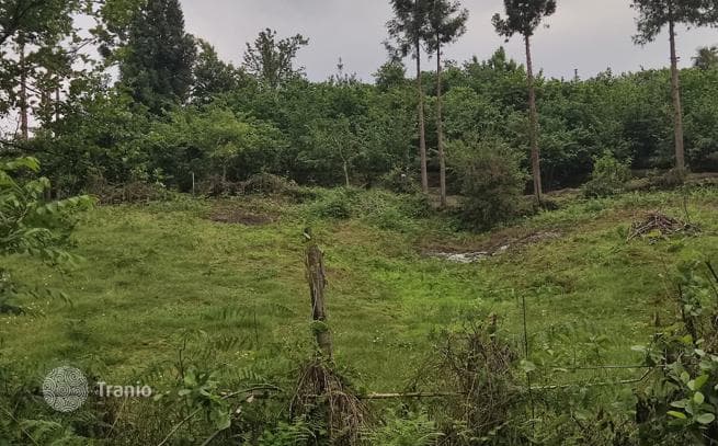 Land Plot 300 m from the Sea in Chakvi, Adjara