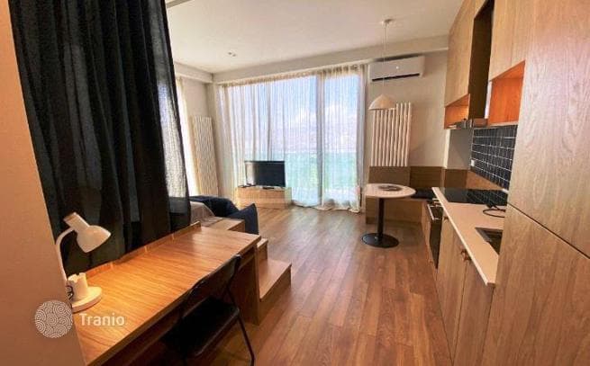 1-Bedroom Apartment on Krtsanisi Street in Tbilisi, photo 5