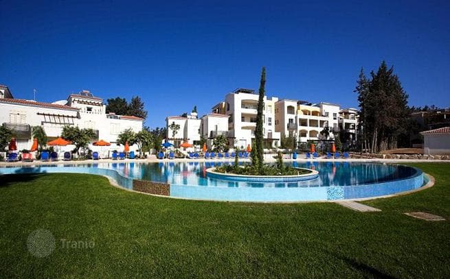 1-Bedroom Apartment with Terrace in Universal, Paphos, photo 4