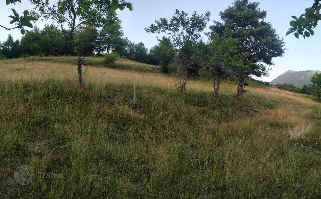 Land Plot Near Ski Resort in Kolasin, Montenegro, photo 4