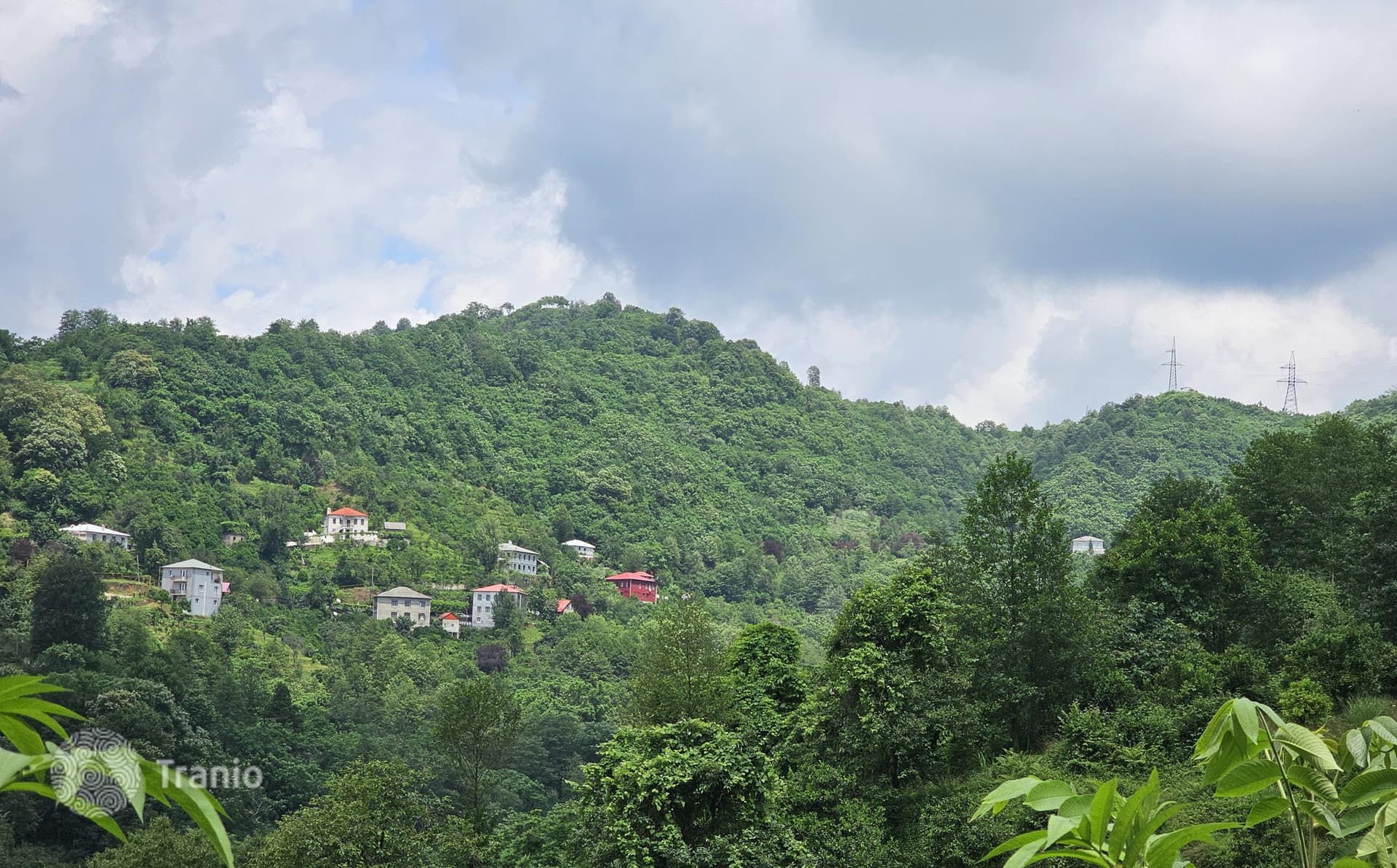 12,000 m² Land Plot with Sea View in Gantsiadi, Batumi