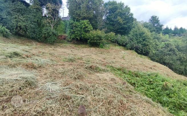 Land Plot with Sea View in Chakvi, Batumi, photo 4