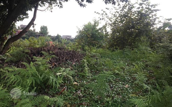 Land Plot 500 m from the Sea in Buknari, Batumi, photo 4
