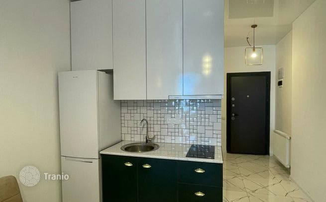 Studio with Sea and City Views in Batumi, photo 4